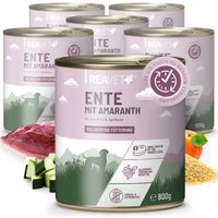 REAVET Hundenassfutter - Ente mit Amaranth an Zucchini & Aprikose | 6 x 800g von REAVET