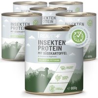 REAVET Hundenassfutter - Insektenprotein mit Süßkartoffeln an Karotten & Hagebutte | 6 x 800g von REAVET