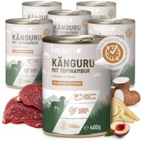 REAVET Hundenassfutter – Känguru mit Topinambur an Pastinake & Pflaume | 6 x 400g von REAVET