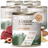 REAVET Hundenassfutter – Känguru mit Topinambur an Pastinake & Pflaume | 6 x 800g von REAVET