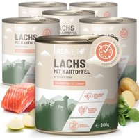 REAVET Hundenassfutter - Lachs mit Kartoffeln an Spinat & Birne | 6 x 800g von REAVET