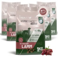 REAVET Hundetrockenfutter Hypoconcept – Lamm | 5x1kg von REAVET