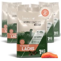 REAVET Hypoconcept Trockenfutter – Mit frischem Lachs von REAVET