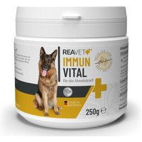 REAVET Immun Vital 250g von REAVET