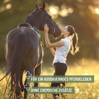 REAVET Mönchspfeffer für Pferde 1kg von REAVET