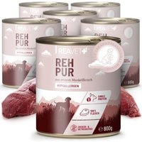 REAVET Nassfutter - Reh PUR | 6 x 800g REAVET Nassfutter - Reh PUR | 6 x 800g von REAVET