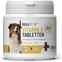 REAVET Vitamin B Tabletten 120Stk von REAVET