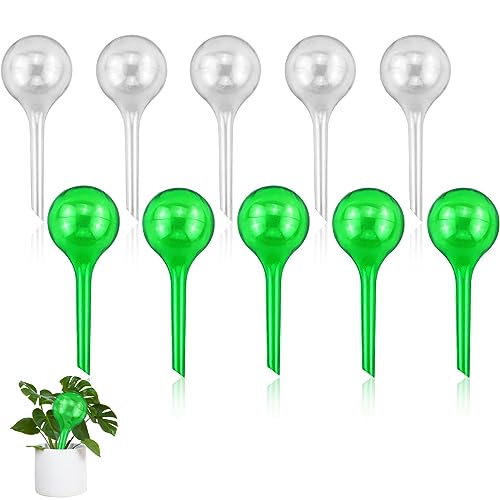10 Stück Bewässerungskugeln für Pflanzen, 5cm Kleine Gießkugeln, Automatische Bewässerungssystem für Pflanzen, Geeignet zum Pflanzen Bewässerung für Drinnen und Draußen (Transparent & Grün) 10 Stück Bewässerungskugeln für Pflanzen, 5cm Kleine Gießkugeln, Automatische Bewässerungssystem für Pflanzen, Geeignet zum Pflanzen Bewässerung für Drinnen und Draußen (Transparent & Grün) von REBECASKYENS