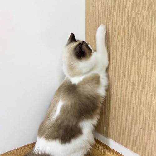 REBOTZ Kletter-Katzenkratzer, Katzenkratzmatte, natürliche Sisal-Katzenkratzmatten, 30/40/60 x 100, zuschneidbarer, Selbstklebender Katzenkratzteppich, schützt Teppiche und Sofas (Color : Khaki, Siz REBOTZ Kletter-Katzenkratzer, Katzenkratzmatte, natürliche Sisal-Katzenkratzmatten, 30/40/60 x 100, zuschneidbarer, Selbstklebender Katzenkratzteppich, schützt Teppiche und Sofas (Color : Khaki, Siz von REBOTZ