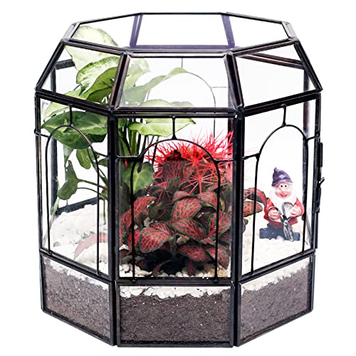 REDHUGO Großes Glas-Terrarium, handgefertigt, Tafelaufsatz-Schaufelbox, Geschenk-Pflanzgefäß-Behälter, Innenbereich, Terrarien, Haus für Sukkulenten, Kakteen, Luftpflanzen, Miniatur-Feengarten von REDHUGO