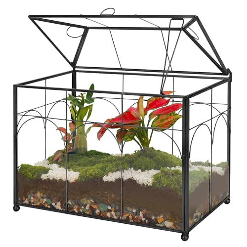 REDHUGO Handgefertigtes Glas-Pflanzgefäß, Terrarium mit Deckel, für den Innenbereich, Tischdekoration, moderne Dekoration, DIY-Geschenk, Pflanzenterrarium, Behälter für Sukkulenten, Kakteen, REDHUGO Handgefertigtes Glas-Pflanzgefäß, Terrarium mit Deckel, für den Innenbereich, Tischdekoration, moderne Dekoration, DIY-Geschenk, Pflanzenterrarium, Behälter für Sukkulenten, Kakteen, von REDHUGO