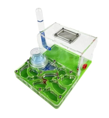 Ameisenhaus Ameisenfarm Ameisenburg Ameisenfarm, Ameisenburg Aus Acryl, Zucht, Feuchtigkeitsnest, Wissenschaftliche Beobachtung, DIY-Ameisennest, Farm, Ameisenwissenschafts-Kit Ameisennest Ameisen Zu Ameisenhaus Ameisenfarm Ameisenburg Ameisenfarm, Ameisenburg Aus Acryl, Zucht, Feuchtigkeitsnest, Wissenschaftliche Beobachtung, DIY-Ameisennest, Farm, Ameisenwissenschafts-Kit Ameisennest Ameisen Zu von REEKOS