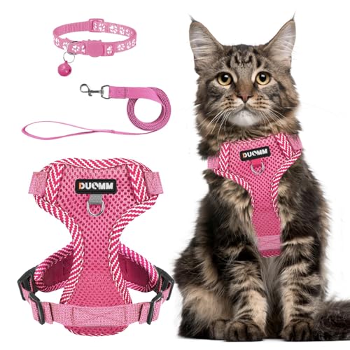 Katzengeschirr Mit Leine Set, Verstellbar Ausbruchsicher Mit Reflektierendem Geschirr, Atmungsaktiv Mesh Und Halsband Set für Hunde Und Katzen Auf Spaziergängen (Pink, M) von REESTBOO