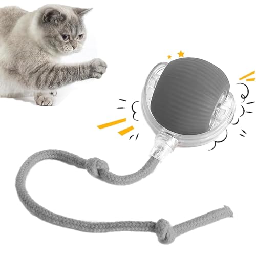 REGAPOG Interaktives Katzenspielzeug Elektrisch Katzenball Mit LED Licht- Katzenspielzeug Selbstbeschäftigung Automatisch Rollender Intelligenz -powerball 2.0 Katze Pfotenjagd Katzenspielzeug (Grau) von REGAPOG