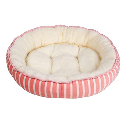 Hundebett Katzenbett Katzen Bett Haustier-Hundebett, Wärmendes Hundehaus, Flauschig, Oval, Zwingerhaus, Decke, Warm Halten, Katzenhöhle, Haustierhöhle, Hundematratze, Heimtierbedarf Katzenkorb Hundema Hundebett Katzenbett Katzen Bett Haustier-Hundebett, Wärmendes Hundehaus, Flauschig, Oval, Zwingerhaus, Decke, Warm Halten, Katzenhöhle, Haustierhöhle, Hundematratze, Heimtierbedarf Katzenkorb Hundema von REIFOR