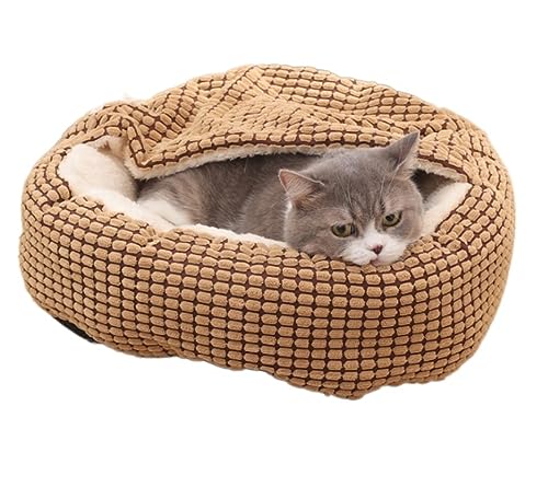 Hundebett Katzenbett Katzen Bett Zelthaus Für Hunde Und Katzen, The General, Geschlossenes, Gemütliches, Zusammenklappbares, Tragbares Bett Mit Böden, Katzenzelt, Haustierhaus Für Kleine Hunde Katzenk Hundebett Katzenbett Katzen Bett Zelthaus Für Hunde Und Katzen, The General, Geschlossenes, Gemütliches, Zusammenklappbares, Tragbares Bett Mit Böden, Katzenzelt, Haustierhaus Für Kleine Hunde Katzenk von REIFOR