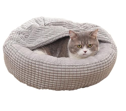 Hundebett Katzenbett Katzen Bett Zelthaus Für Hunde Und Katzen, The General, Geschlossenes, Gemütliches, Zusammenklappbares, Tragbares Bett Mit Böden, Katzenzelt, Haustierhaus Für Kleine Hunde Katzenk Hundebett Katzenbett Katzen Bett Zelthaus Für Hunde Und Katzen, The General, Geschlossenes, Gemütliches, Zusammenklappbares, Tragbares Bett Mit Böden, Katzenzelt, Haustierhaus Für Kleine Hunde Katzenk von REIFOR