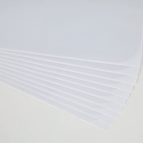 10 Stück Möbelschutz von Katzen Kratz-Couch Guards für Katzen Kratzen Haustier Kratzabwehr Abwehrmittel 10 Stück Möbelschutz von Katzen Kratz-Couch Guards für Katzen Kratzen Haustier Kratzabwehr Abwehrmittel von REITINGE