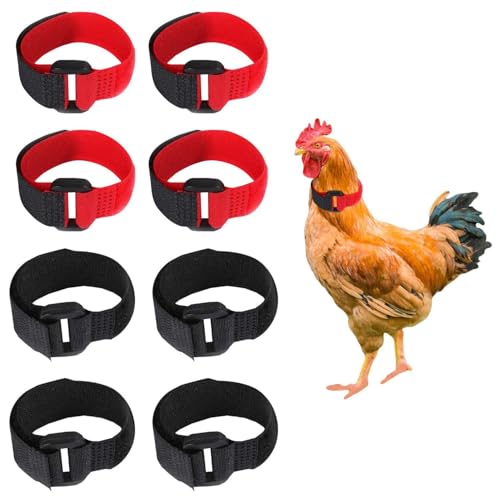 RELKLYU 8 Stücke Hahnkragen, Einstellbares Kragen, Geflügelversorgungen, Anti-Rooster-Krähekragen. von RELKLYU