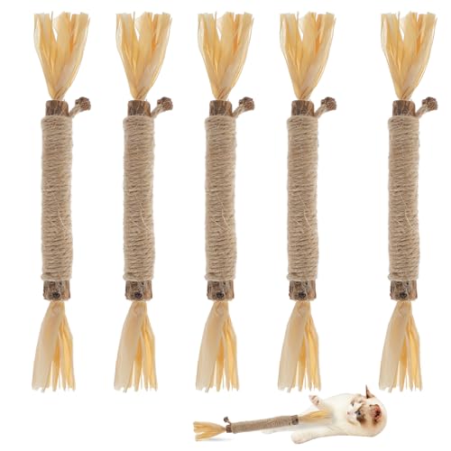 RELONGGI Silvervine Sticks Katzenspielzeug, Zahnspielzeug für Kätzchen, Zahnreinigung, Kauspielzeug für aggressive Kauer, Silvervine Katzenspielzeug für drinnen und draußen (5 Stück) von RELONGGI