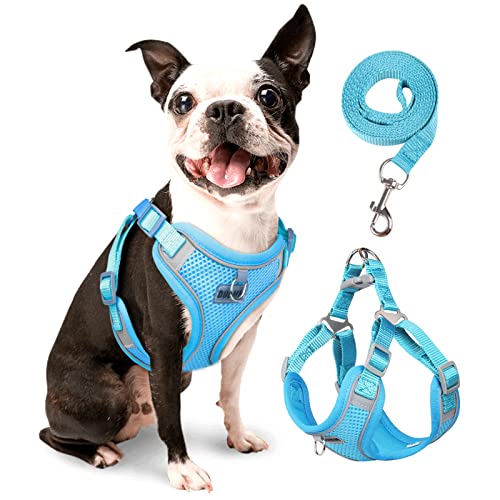 rennaio Hundegeschirr Kein Ziehen, Verstellbares Welpengeschirr mit 2 Leinenclips, Reflektierendes Hundegeschirr und Leine Set für kleine und mittelgroße Hunde (Himmelblau, M) von RENNAIO