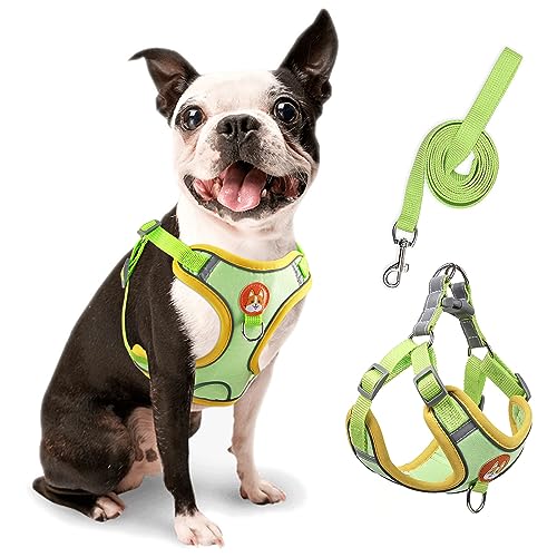 rennaio Hundegeschirr Kein Ziehen, Verstellbares Welpengeschirr mit 2 Leinenclips, Reflektierendes Hundegeschirr und Leine Set für kleine und mittelgroße Hunde (Grün, M) von RENNAIO