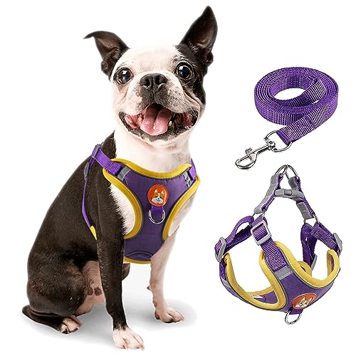 rennaio Hundegeschirr Kein Ziehen, Verstellbares Welpengeschirr mit 2 Leinenclips, Reflektierendes Hundegeschirr und Leine Set für kleine und mittelgroße Hunde (Lila, M) von RENNAIO