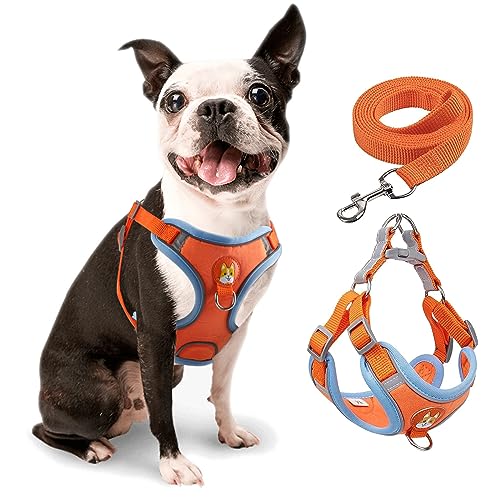 rennaio Hundegeschirr Kein Ziehen, Verstellbares Welpengeschirr mit 2 Leinenclips, Reflektierendes Hundegeschirr und Leine Set für kleine und mittelgroße Hunde (Orange, M) von RENNAIO