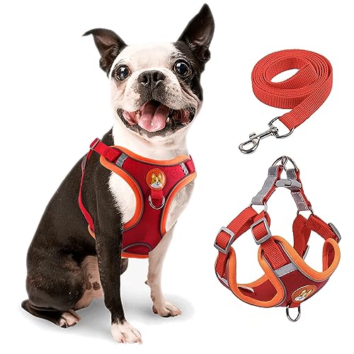 rennaio Hundegeschirr Kein Ziehen, Verstellbares Welpengeschirr mit 2 Leinenclips, Reflektierendes Hundegeschirr und Leine Set für kleine und mittelgroße Hunde (Rot, M) von RENNAIO