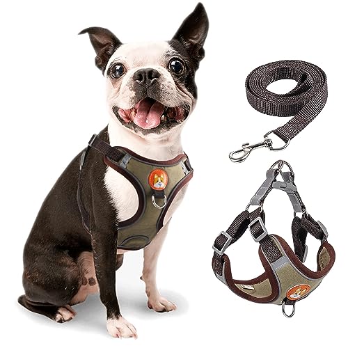 rennaio Hundegeschirr Kein Ziehen, Verstellbares Welpengeschirr mit 2 Leinenclips, Reflektierendes Hundegeschirr und Leine Set für kleine und mittelgroße Hunde (Braun, M) von RENNAIO