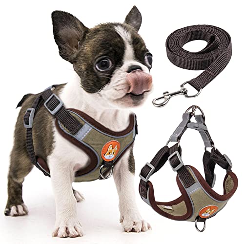 rennaio Hundegeschirr Kein Ziehen, Verstellbares Welpengeschirr mit 2 Leinenclips, Reflektierendes Hundegeschirr und Leine Set für kleine und mittelgroße Hunde (Braun, S) von RENNAIO