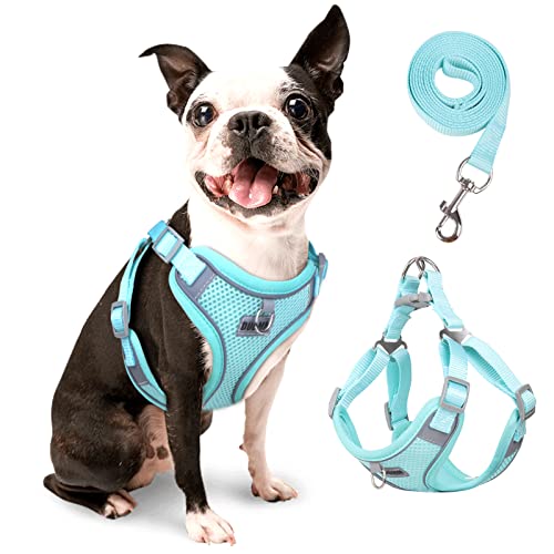 rennaio Hundegeschirr Kein Ziehen, Verstellbares Welpengeschirr mit 2 Leinenclips, Reflektierendes Hundegeschirr und Leine Set für kleine und mittelgroße Hunde (Cyan, M) von RENNAIO