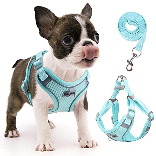 rennaio Hundegeschirr Kein Ziehen, Verstellbares Welpengeschirr mit 2 Leinenclips, Reflektierendes Hundegeschirr und Leine Set für kleine und mittelgroße Hunde (Cyan, S) von RENNAIO