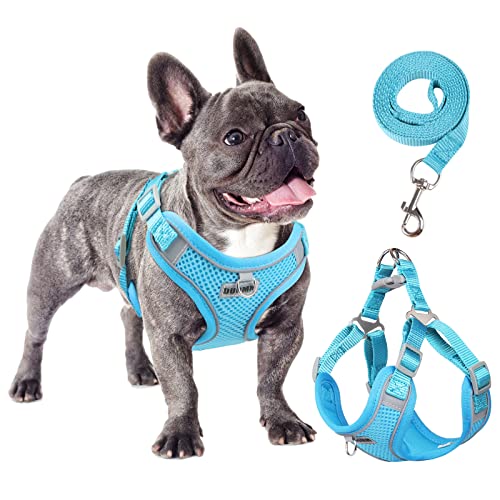 rennaio Hundegeschirr Kein Ziehen, Verstellbares Welpengeschirr mit 2 Leinenclips, Reflektierendes Hundegeschirr und Leine Set für kleine und mittelgroße Hunde (Himmelblau, XL) von RENNAIO