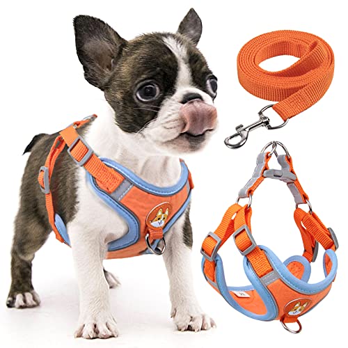 rennaio Hundegeschirr Kein Ziehen, Verstellbares Welpengeschirr mit 2 Leinenclips, Reflektierendes Hundegeschirr und Leine Set für kleine und mittelgroße Hunde (Orange, S) von RENNAIO