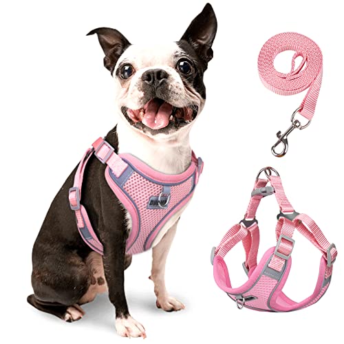 rennaio Hundegeschirr Kein Ziehen, Verstellbares Welpengeschirr mit 2 Leinenclips, Reflektierendes Hundegeschirr und Leine Set für kleine und mittelgroße Hunde (Rosa, M) von RENNAIO