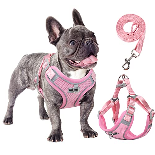 rennaio Hundegeschirr Kein Ziehen, Verstellbares Welpengeschirr mit 2 Leinenclips, Reflektierendes Hundegeschirr und Leine Set für kleine und mittelgroße Hunde (Rosa, XL) von RENNAIO