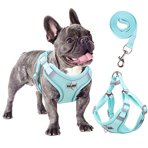 rennaio Hundegeschirr Kein Ziehen, Verstellbares Welpengeschirr mit 2 Leinenclips, Reflektierendes Hundegeschirr und Leine Set für kleine und mittelgroße Hunde (Cyan, L) von RENNAIO