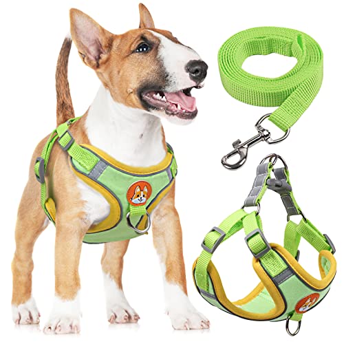 rennaio Hundegeschirr Kein Ziehen, Verstellbares Welpengeschirr mit 2 Leinenclips, Reflektierendes Hundegeschirr und Leine Set für kleine und mittelgroße Hunde (Grün, XL) von RENNAIO