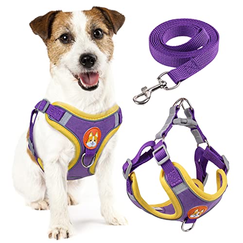 rennaio Hundegeschirr Kein Ziehen, Verstellbares Welpengeschirr mit 2 Leinenclips, Reflektierendes Hundegeschirr und Leine Set für kleine und mittelgroße Hunde (Lila, L) von RENNAIO