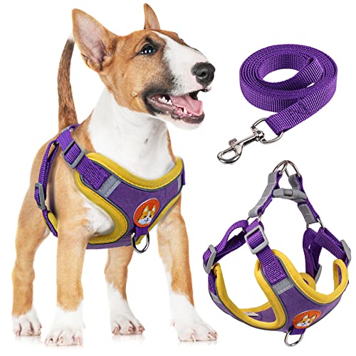 rennaio Hundegeschirr Kein Ziehen, Verstellbares Welpengeschirr mit 2 Leinenclips, Reflektierendes Hundegeschirr und Leine Set für kleine und mittelgroße Hunde (Lila, XL) von RENNAIO