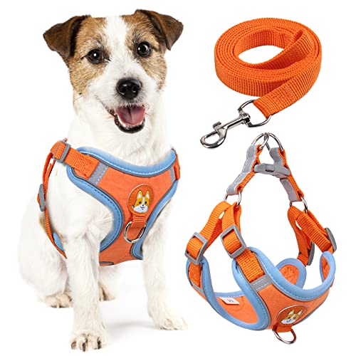 rennaio Hundegeschirr Kein Ziehen, Verstellbares Welpengeschirr mit 2 Leinenclips, Reflektierendes Hundegeschirr und Leine Set für kleine und mittelgroße Hunde (Orange, L) von RENNAIO