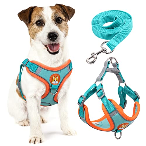 rennaio Hundegeschirr Kein Ziehen, Verstellbares Welpengeschirr mit 2 Leinenclips, Reflektierendes Hundegeschirr und Leine Set für kleine und mittelgroße Hunde (Lebendiges Blau, L) von RENNAIO