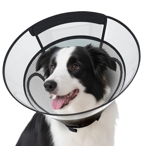 Hundekegelhalsband für große Hunde nach Operationen, Netzfenster PVC Transparent E Halsband für Hunde, Anti-Biss Lecken Wundheilung Neuter Sicherheit Praktisch Bequem Kunststoffkegel M Hundekegelhalsband für große Hunde nach Operationen, Netzfenster PVC Transparent E Halsband für Hunde, Anti-Biss Lecken Wundheilung Neuter Sicherheit Praktisch Bequem Kunststoffkegel M von REOMORE