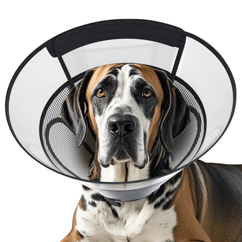 REOMORE Hundekegelhalsband für große Hunde nach Operationen, Netzfenster, PVC, transparent, Hundekegel, E-Halsband für Hunde, Anti-Biss-Leck-Wundheilung, Neuter Sicherheit, praktisch, bequem REOMORE Hundekegelhalsband für große Hunde nach Operationen, Netzfenster, PVC, transparent, Hundekegel, E-Halsband für Hunde, Anti-Biss-Leck-Wundheilung, Neuter Sicherheit, praktisch, bequem von REOMORE