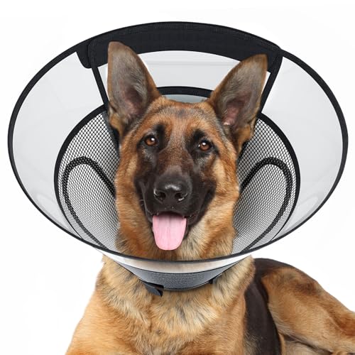 REOMORE Hundekegelhalsband für große Hunde nach Operationen, Netzfenster PVC Transparent E Halsband für Hunde, Anti-Biss Lecken Wundheilung Neuter Sicherheit Praktisch Bequem Kunststoffkegel XL REOMORE Hundekegelhalsband für große Hunde nach Operationen, Netzfenster PVC Transparent E Halsband für Hunde, Anti-Biss Lecken Wundheilung Neuter Sicherheit Praktisch Bequem Kunststoffkegel XL von REOMORE