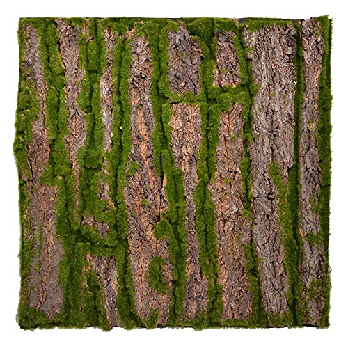 REPITERRA Terrarium Rückwände unterschiedliche Design Rinde klein REPITERRA Terrarium Rückwände unterschiedliche Design Rinde klein von REPITERRA