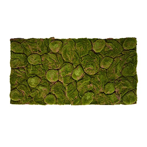 REPITERRA Terrarium Rückwand 3D Hintergrund Deko Naturlook Moos 116x58cm für 120x60cm Terrarien von REPITERRA