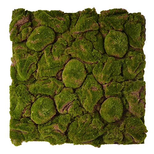 REPITERRA Terrarium Rückwand 3D Hintergrund Deko Naturlook Moos 58x58cm für Terrarien Ausbau von REPITERRA