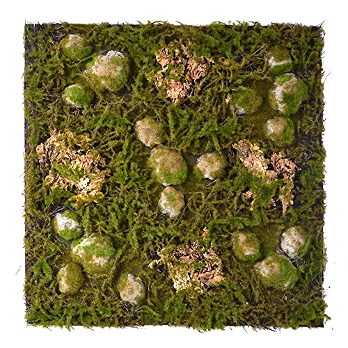 REPITERRA Terrarium Rückwand 3D Hintergrund Deko Naturlook Wald 58x58cm für Terrarien Ausbau von REPITERRA